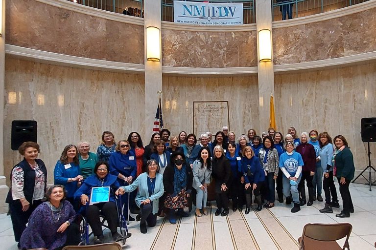 Read more about the article Women in Blue Day